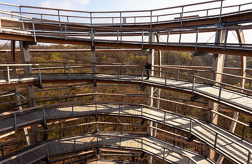 Baumpfad, Konstruktion, Aussichtsturm, Plattform, nach oben, Wald, die Architektur, gebaute Struktur, Tag, Stadt, Natur, Verbindung, keine Leute, draußen, Gebäudehülle, Gebäude, Transport, Brücke, Umgebung, Geländer, Unternehmensfinanzierung und Industrie, Sonnenlicht, Sport, Landwirtschaft, Fußweg, 4K, CC0, gemeinfrei, lizenzfrei