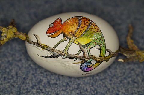 vicino, foto, decorativo, uovo, uovo di Pasqua, pittura, decorato, colorato, camaleonte, filigrana, esotico, animale, rettile, particolarmente, arte, disegno, uovo d'oca, decorazione, disegnato, dipinto, ritratto animale, dipingere, temi animali, un animale, nessuno, avvicinamento, fauna selvatica, giorno, vertebrato, rappresentazione, all'aperto, rappresentazione animale, natura, vista dall'alto, animali allo stato selvatico, concentrarsi sulle conoscenze acquisite, terra, parte del corpo animale, invertebrato, giocattolo, marino, 5K, CC0, dominio pubblico, privo di copyright