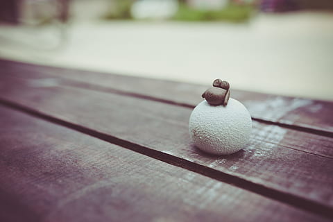 hout, tafel, bal, houten, macro, schapen, speelgoed-, hout - materiaal, detailopname, geen mensen, selectieve aandacht, enkel object, focus op de voorgrond, dag, stilleven, buitenshuis, sport, gezond eten, bank, welzijn, fruit, eten en drinken, voedsel, twee objecten, 5K, CC0, publiek domein, royaltyvrij