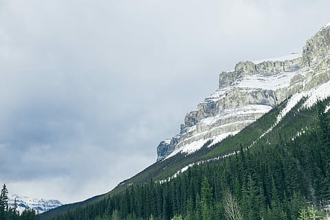 śnieżny, Góra, sosny, dzień, sosna, drzewo, skała, śnieg, zimowy, ca, Kanada, ab, alberta, skalisty, skalista góra, niebo, piękno natury, scenics - natura, chmura - niebo, roślina, Natura, wylądować, las, spokojna scena, scena pozamiejska, spokój, na dworze, żadnych ludzi, zielony kolor, pasmo górskie, drzewo iglaste, szczyt górski, lasy sosnowe, 4K, CC0, domena publiczna, darmowe zdjęcia
