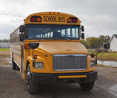 skole, bus, auto, transportform, transportmidler, land køretøj, gul, skolebus, offentlig transport, tekst, by, dag, vestlige script, vej, himmel, stationær, motor køretøj, bil, natur, gade, sky - himmel, arkitektur, 4K, CC0, offentligt domæne, royaltyfrie