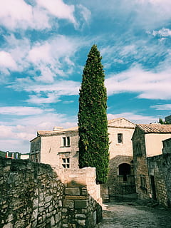 gray, concrete, house, behind, green, tree, nature, architecture, structure, bricks, wall, windows, clouds, sky, building exterior, built structure, cloud - sky, outdoors, no people, day, city, building, history, the past, plant, travel destinations, religion, old, place of worship, stone wall, ruined, 4K, CC0, public domain, royalty free