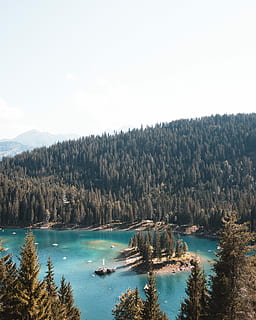 antenne, fotografering, legeme, vand, ved siden af, Skov, bjerg, træ, lagune, fyrretræ, sø, afspejling, Forrest, sommer, Schweiz, Dam, svømning, blå, scenics - natur, plante, ro, skønhed i naturen, rolig scene, natur, ingen mennesker, himmel, ikke-urbane scene, dag, jord, vækst, fjern, idyllisk, høj vinkel visning, udendørs, nåletræ, fyrreskov, turkisfarvet, 4K, CC0, offentligt domæne, royaltyfrie