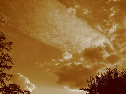 Wolke, Wolken, bilden, Himmel, Wolken bilden sich, abendstimmung, Abendhimmel, Nachglühen, Sepia, Dämmerung, Natur, Sonnenuntergang, Baum, Dramatischer Himmel, Schönheit in der Natur, wolke - himmel, Flachwinkelansicht, Szenen - Natur, Ruhe, Pflanze, keine Leute, ruhige Szene, idyllisch, orange Farbe, draußen, Silhouette, Wachstum, Sonnenlicht, Wipfel, 2K, CC0, gemeinfrei, lizenzfrei