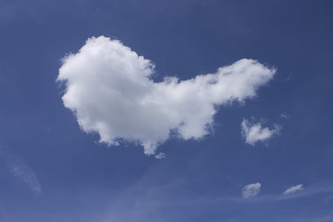 wolk, hemelsblauw, cloudscape, hemel, blauw, zomerwolken, wolk - lucht, achtergronden, alleen in de lucht, lage hoekweergave, schoonheid in de natuur, natuur, scenics - natuur, witte kleur, geen mensen, kalmte, dag, buitenshuis, pluizig, wind, rustige scène, idyllisch, milieu, zachtheid, meteorologie, piekerig, 4K, CC0, publiek domein, royaltyvrij