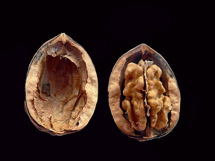 surrounded, dark, Walnut, Cracked, Kernel, Edible, Nuts, food, black background, healthcare and medicine, no people, tomography, healthy eating, close-up, studio shot, food and drink, indoors, wellbeing, still life, two objects, cut out, healthy lifestyle, fruit, slice, three objects, group of objects, nature, 720P, CC0, public domain, royalty free
