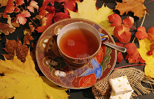 taza de té, tee, la hora del té, taza para té, caliente, otoño, colores otoñales, hojas de otoño, vajilla, construye, beber, bebida caliente, noche, acogedor, relajarse, relajación, porcelana, disfrutar, vaso, beneficio de, sabroso, naturaleza muerta, decoración, comida y bebida, té, jarra, té - bebida caliente, taza de te, parte de la planta, hoja, mesa, refresco, de cerca, adentro, frescura, comida, vista de alto ángulo, platillo, alimentación saludable, modelo, nadie, patrón floral, hojas, 4K, CC0, dominio público, libre de derechos