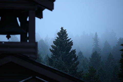 nebbia, albero, sempreverde, foresta, foschia, campana, natura, montagna, all'aperto, pianta, cielo, architettura, nessuno, la tranquillità, struttura costruita, giorno, bellezza nella natura, esterno dell'edificio, finestra, scenics - natura, tetto, scena tranquilla, Casa, inverno, Pino, albero di conifere, 5K, CC0, dominio pubblico, privo di copyright