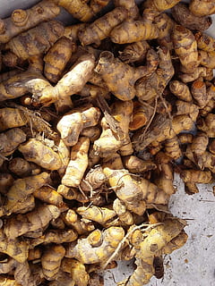 cúrcuma, bullit, rústic, configuració, entorn rústic, menjar i beguda, cap gent, primer pla, a l'aire lliure, dia, frescor, marc complet, gran grup d'objectes, fons, abundància, menjar, vegetals, marró, natura morta, sec, benestar, mercat, gingebre, a la venda, naturalesa, aliments crus, visualització al detall, 2K, CC0, domini públic, lliure de regalies