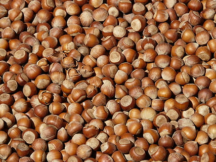 kacang coklat, kacang hazel, coklat, gila, Buka, kerang, pasar, makanan dan minuman, makanan, latar belakang, bingkai penuh, sekelompok besar objek, kelimpahan, kesegaran, makan sehat, kesejahteraan, tidak ada orang, merapatkan, kacang, kacang - makanan, masih hidup, kemiri, dalam ruangan, dijual, tampilan sudut tinggi, 2K, CC0, domain publik, bebas royalti