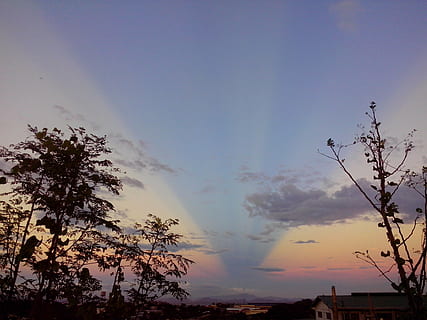 solnedgang, skumring, himmel, mørkets frembrud, tusmørke, Eventide, gloaming, landskab, skyer, natur, træ, udendørs, plante, skønhed i naturen, sky - himmel, silhuet, ro, scenics - natur, lav vinkel visning, ingen mennesker, rolig scene, vækst, idyllisk, sollys, arkitektur, afdeling, ikke-urbane scene, 2K, CC0, offentligt domæne, royaltyfrie