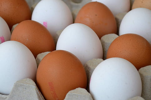 Pasen, eierschaal, ei, voedsel, eten en drinken, bruin, versheid, grote groep objecten, geen mensen, welzijn, gezond eten, rauw eten, detailopname, dierlijk ei, overvloed, in een rij, keuze, binnenshuis, kwetsbaarheid, groep objecten, breekbaarheid, variatie, bestellen, 1080P, CC0, publiek domein, royaltyvrij