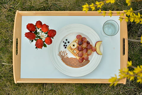 snídaně, tvořivý, Ryba, ovoce, růže, jahody, laburnum, odpočinek, skutečné věci, umění, zvíře, Příroda, jídlo, deska, gurmán, svěžest, jídlo a pití, Zdravé stravování, rostlina, přímo nad, blahobyt, květ, připraven jíst, nikdo, stůl, tráva, den, vysoký úhel pohledu, kvetoucí rostlina, zeleniny, bylina, zásobník, pokušení, 5K, CC0, veřejná doména, bez autorských práv