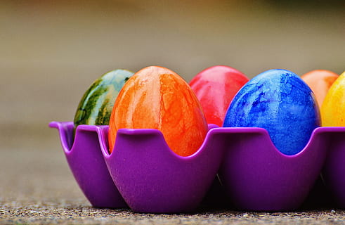 ous de Pasqua, colorit, Pasqua, Feliç Pasqua, ou, de colors, color, multicolor, vegetals, variació, menjar i beguda, cap gent, elecció, menjar, alimentació saludable, benestar, frescor, natura morta, taula, primer pla, centrar-se en primer pla, a l'interior, fruita, blau, contenidor, grup d'objectes, dia, porpra, 5K, CC0, domini públic, lliure de regalies