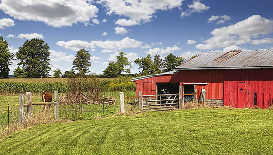 graner, rústic, graners, ohio, art digital, rural, escènic, país, camp, paisatge, cobert, coberts, granja, granges, agricultura, agrícola, Masia, campanar, comtat, americana, foto, fotografia, estructura, estructures, sturgell, William Sturgell, factura sturgell, històric, decoració de la llar, edificis, núvols, cel, arbre, arbres, ennuvolat, cels, males herbes, comtat del campanar, urbana, planta, arquitectura, herba, estructura construïda, núvol - cel, escena rural, naturalesa, edifici agrícola, exterior de l'edifici, cap gent, color verd, terra, dia, a l'aire lliure, 5K, CC0, domini públic, lliure de regalies