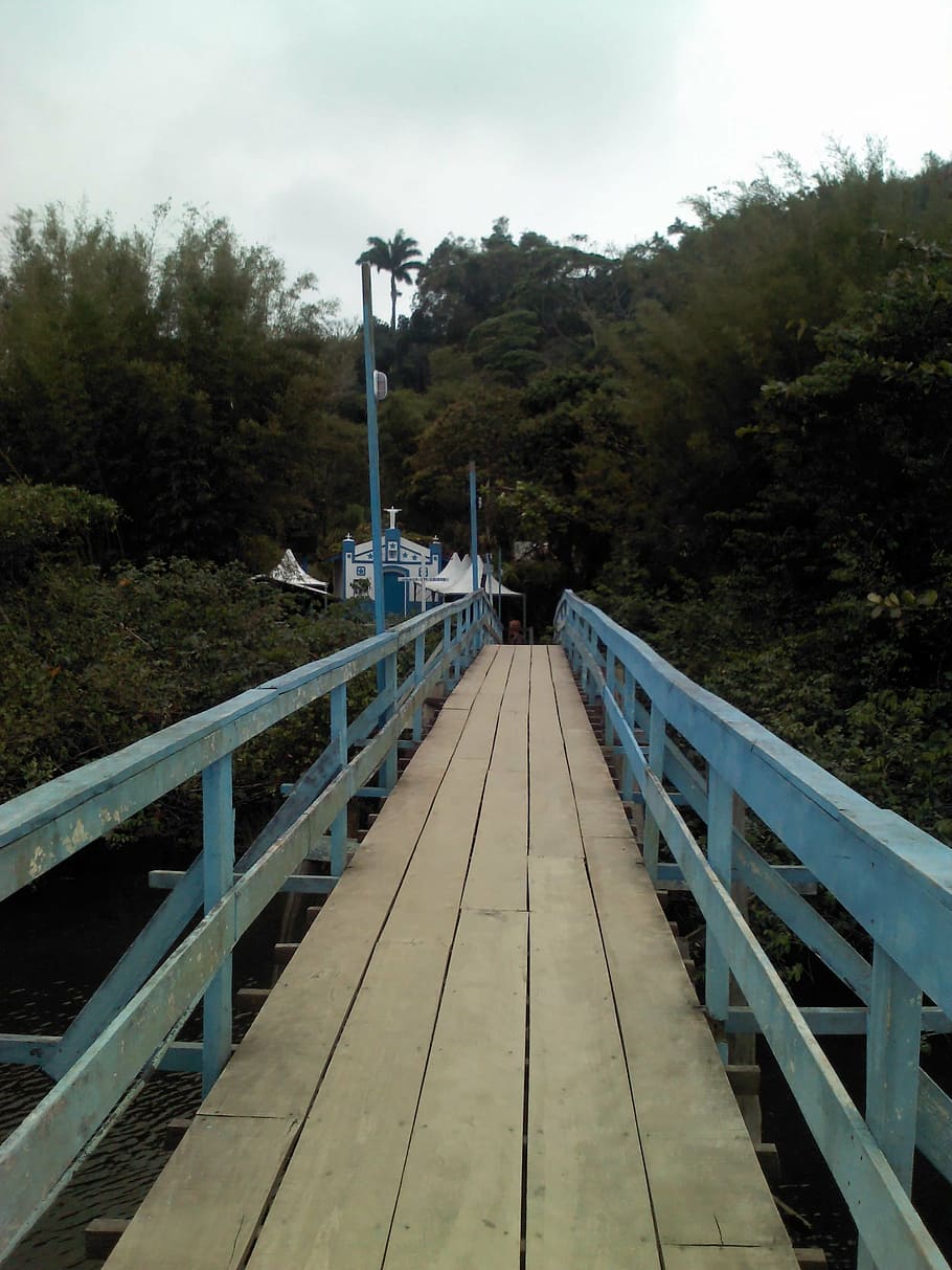 pont, rio, paisatge, arbre, planta, el camí a seguir, direcció, connexió, cel, arquitectura, naturalesa, barana, estructura construïda, pont - estructura feta per l'home, passarel·la, sendera, creixement, material de fusta, perspectiva decreixent, dia, bosc, a l'aire lliure, cap gent, llarg, 2K