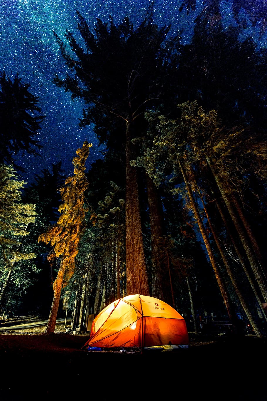 taronja, groc, tenda, cel nocturn, campament, fosc, bosc, llum, tir en angle baix, a l'aire lliure, perspectiva, recreació, cel, arbres, boscos, arbre, nit, il·luminat, naturalesa, cap gent, Halloween, planta, color taronja, creixement, tronc de l'arbre, terra, tardor, tronc, bellesa a la natura, aventura, tranquil·litat, 5K
