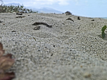 plaża, sol, arena, piasek, wylądować, dzień, Natura, żadnych ludzi, selektywne skupienie, zbliżenie, morze, na dworze, poziom powierzchni, spokój, woda, światło słoneczne, teksturowane, skupić się na pierwszym planie, niebo, piękno natury, scenics - natura, 4K, CC0, domena publiczna, darmowe zdjęcia