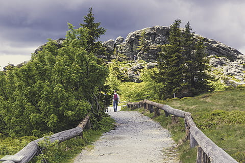 více, destinace, Pohled, hledisko, hora, volný čas, plošina, Zajímavosti, cestovní ruch, Dovolená, turistika, horolezectví, Příroda, přírodní park, les, pole, krajina, Skála, vzdálený pohled, předvídavost, hory, stromy, bavorský les, velký arber, summitu, expedice, rostlina, plná délka, strom, skutečných lidí, chůze, krása v přírodě, zelená barva, den, volnočasové aktivity, muži, životního stylu, růst, zpětný pohled, pěšina, lidé, scenics - příroda, mrak - nebe, mimoměstské scény, venku, 5K, CC0, veřejná doména, bez autorských práv