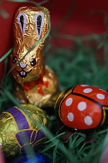 Osternest, Ostergras, osterkörbchen, Osterhase, Schokolade, Frohe Ostern, Zoll, Christentum, Frühlingsverbrauch, Ostern, Frühling, Schokoladenosterhase, Ostergruß, Darstellung, Kunst und Handwerk, Urlaub, Feier, Nahansicht, Kreativität, keine Leute, Dekoration, selektiver Fokus, Kunst, menschliche Darstellung, drinnen, Stillleben, Fokus auf den Vordergrund, Figur, Festival, 5K, CC0, gemeinfrei, lizenzfrei