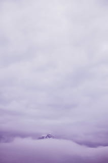 purple clouds wallpaper, mountaintop, surrounded, clouds, mountain, sky, cloud, mist, fog, nature, outdoors, monochrome, adventure, wanderlust, explore, cloud - sky, beauty in nature, scenics - nature, no people, tranquility, tranquil scene, day, purple, environment, cloudscape, overcast, copy space, low angle view, idyllic, travel, fluffy, softness, 5K, CC0, public domain, royalty free
