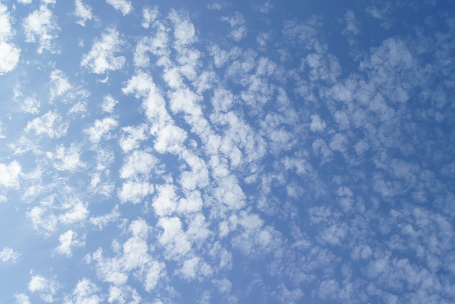 himmel, skyer, skyer form, blå, sky - himmel, skønhed i naturen, natur, ingen mennesker, hvid farve, scenics - natur, dag, baggrunde, ro, lav vinkel visning, udendørs, cloudscape, idyllisk, rolig scene, fuld ramme, fluffy, sollys, blødhed, meteorologi, 4K