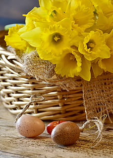 groc, flors de narcís, dos, decoració d’òvuls, narcisos, primavera, Pasqua, cistella, osterkorb, ou, ous de Pasqua, flor, florir, flors, narcissus pseudonarcissus, jardí, naturalesa, planta, flors de primavera, Narcís, precursor de la primavera, osterglocken, frühlingsanfang, tancar, flors grogues, flora, brillant, menjar i beguda, menjar, frescor, alimentació saludable, primer pla, cap gent, fruita, planta amb flors, natura morta, vulnerabilitat, fragilitat, contenidor, taula, material de fusta, vímet, gerro, cap de flor, arranjament floral, bouquet, Ram de flors, 5K, CC0, domini públic, lliure de regalies