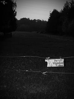 wire, current, caution, plant, tree, land, nature, field, sky, no people, day, grass, text, landscape, tranquility, environment, communication, western script, growth, sign, tranquil scene, outdoors, non-urban scene, 1080P, CC0, public domain, royalty free