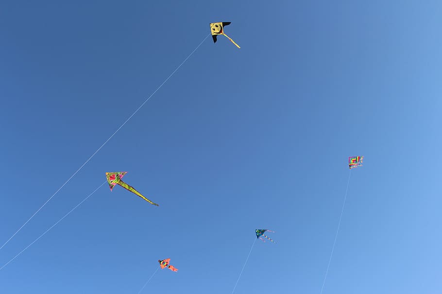 cel, volant de cometes, volar, drac, joc, diversió, drac, cant, volant, blau, a l'aire, cel clar, insecte, a l'aire lliure, cometa - joguina, esport, dia, naturalesa, vista d’angle baix, activitat d'oci, aventura, llibertat, Esports extrems, cadena, moviment, medi ambient, vent, assolellat, persona irreconeixible, kiteboarding, 5K