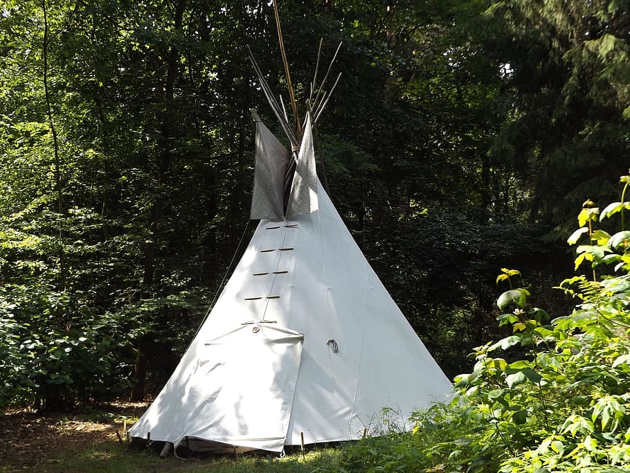 blanc, tenda, bosc, tipi, naturalesa, salvatge, estiu, prat, herba, desert, indis, campament, família, grup, vacances d'estiu, trapper, planta, arbre, creixement, dia, cap gent, Color blanc, terra, penjant, llum solar, color verd, a l'aire lliure, tèxtil, roba, camp, art i artesania, tranquil·litat, branca, 1080P