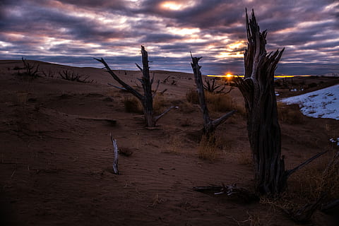 blattlose Bäume, kahl, Bäume, braun, Rasenplatz, golden, Stunde, Sand, Totholz, Wolken, Dramatischer Himmel, Sonnenaufgang, wolke - himmel, Himmel, Szenen - Natur, Umgebung, Wüste, Natur, Landschaft, Nicht-städtische Szene, Land, Berg, Ruhe, trockenes Klima, Pflanze, Klima, keine Leute, ruhige Szene, Sonnenuntergang, Schönheit in der Natur, Gebirge, draußen, halbtrocken, 8K, CC0, gemeinfrei, lizenzfrei