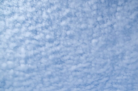 fluffig, moln, clouds, himmel, väder, ljus, stackmoln, bakgrunder, blå, snö, inget folk, full ram, vit färg, natur, vinter-, textil-, kall temperatur, mjukhet, ull-, texturerad, pastellfärgad, moln - himmel, abstrakt bakgrund, utomhus, mönster, snöar, 5K, CC0, offentligt domän, royaltyfria