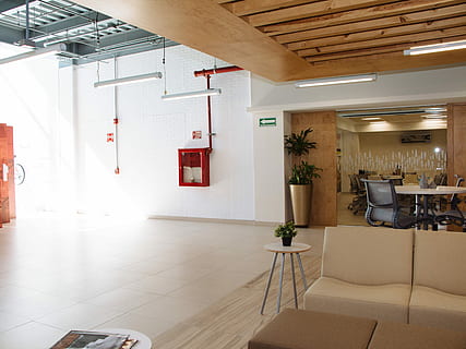 marró, sofà, blanc, taula, rodó, olla de la planta, casa, conjunt, espai de treball, oficina, a l'interior, sòls, arquitectura, seient, estructura construïda, cap gent, equips d’il·luminació, absència, mobles, habitació domèstica, cadira, interior de casa, edifici, buit, sostre, entrada, dia, funció de construcció de parets, modern, sòl de rajoles, luxe, llum elèctrica, 4K, CC0, domini públic, lliure de regalies