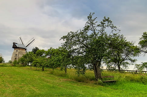 mulino a vento, mulino, vecchio, antico, nostalgia, albero, banca, panchina, Panchina di legno, campo, azienda agricola, nuvola - cielo, scena rurale, agricoltura, pianta, cielo, erba, energia alternativa, energia rinnovabile, conservazione dell'ambiente, turbina eolica, energia eolica, combustibile e produzione di energia, natura, colore verde, ambiente, mulino a vento tradizionale, turbina, crescita, terra, architettura, struttura costruita, nessuno, all'aperto, 2K, CC0, dominio pubblico, privo di copyright