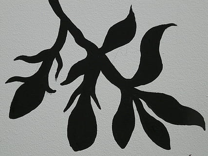 tegning, blad, afdeling, vægmaleri, sort og hvid, abstrakt, kunst, plante, Kunst og håndværk, murbygningsfunktion, kalligrafi, kreativitet, ingen mennesker, ikke-vestlige script, skygge, tæt på, håndværk, ferie, repræsentation, fest, tekst, indendørs, sort farve, natur, festival, 2K, CC0, offentligt domæne, royaltyfrie