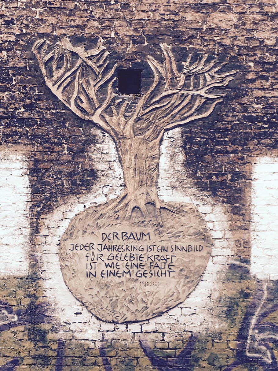 arbre, paret de pedra, paret, dient, text, guió occidental, comunicació, funció de construcció de parets, cap gent, a l'interior, emoció, emoció positiva, primer pla, amor, penjant, signe, arquitectura, art i artesania, material de fusta, decoració, artesania, missatge, 4K