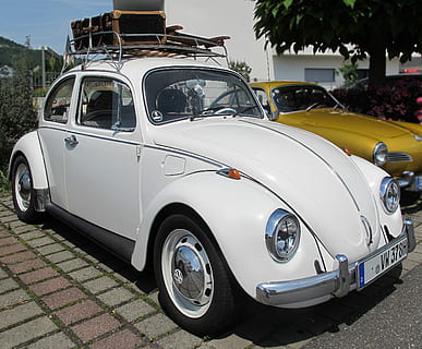 vw brouk, oldtimer, brouk, vw, sběratelský předmět, klasický, nostalgie, automobilového průmyslu, auto, oldi, vozidlo, staré auto, minulost, pkw, starý, veterán, nostalgický, přeprava, venku, den, strom, nikdo, motorové vozidlo, způsob dopravy, pozemního vozidla, ulice, stacionární, město, silnice, Historické auto, retro stylu, architektura, parkoviště, Příroda, exteriér budovy, luxus, 2K, CC0, veřejná doména, bez autorských práv