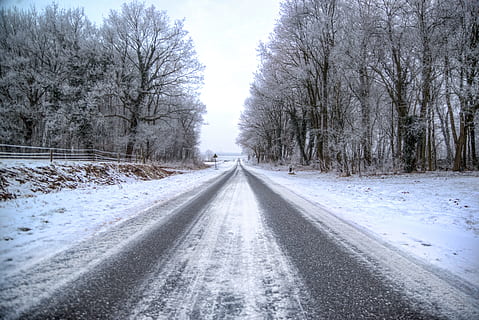 winter, weg, koude, bevriezen, sneeuw, natuur, winter, weg, ZE, landschap, Bos, ijs-, wit, seizoen, rijden, buitenshuis, weer, reis, vakantie, glad, platteland, koude temperatuur, boom, de weg vooruit, perspectief verminderen, richting, fabriek, kale boom, vervoer, geen mensen, dag, verdwijnpunt, schoonheid in de natuur, hemel, scenics - natuur, aan het bedekken, treelined, 5K, CC0, publiek domein, royaltyvrij
