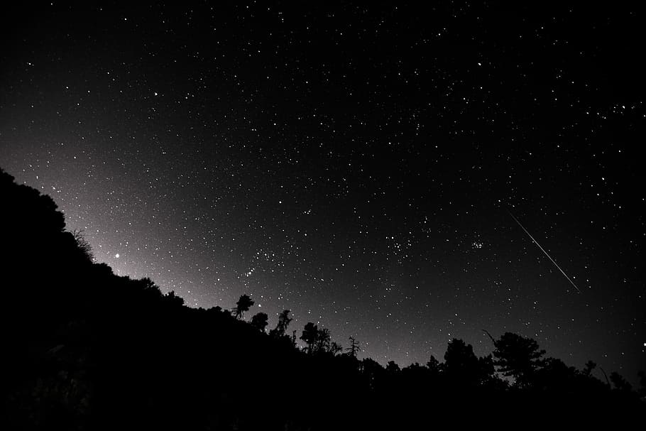 silueta, arboles, Noche, fotografía con poca luz, estrellas, cielo, árbol, bosque, oscuro, estrella - espacio, espacio, astronomía, belleza en la naturaleza, tranquilidad, estrella, paisajes - naturaleza, naturaleza, escena tranquila, vista de ángulo bajo, planta, nadie, campo de estrellas, infinito, galaxia, idílico, al aire libre, espacio y astronomia, 5K
