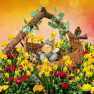 nano, campo di basket, illustrazione di fiori, fantasia, primavera, buona notte, dormire, riposo, cestino, fiori, giunchiglie, osterglocken, fiore di oche, edera, pettirosso, uccello, mondo delle fiabe, Magia, fiore, un animale, natura, nessuno, guardando la fotocamera, temi animali, giorno, all'aperto, animali domestici, testa di fiore, pianta fiorita, pianta, rappresentazione, freschezza, rappresentazione umana, giallo, infanzia, vista frontale, sorridente, crescita, una persona, bambino, scultura, bellezza nella natura, credenza, girasole, letto di fiori, 1080P, CC0, dominio pubblico, privo di copyright