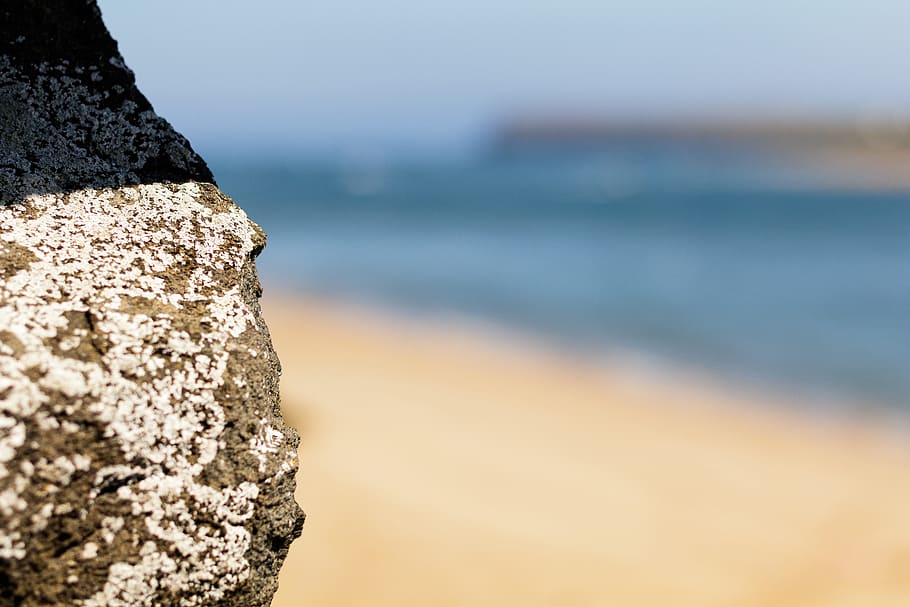 platja, rock, sorra, percebes, estiu, paisatge, Riba, vora del mar, marea, aigua, naturalesa, centrar-se en primer pla, mar, dia, primer pla, cap gent, textura, terra, a l'aire lliure, bellesa a la natura, tranquil·litat, rock - object, cel, sòlid, tronc, tronc de l'arbre, liquen, 5K