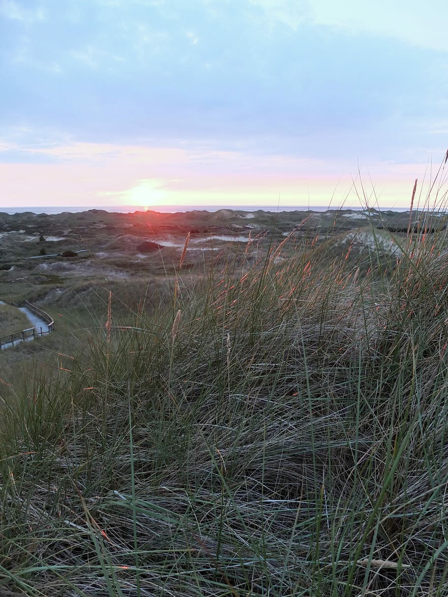 amrum, posta de sol, tarda, platja, mar, sol, Mar del nord, dunes, cel, abendstimmung, nordfriesland, kniepsand, wadden sea, ampli, festa, Costa, illa, duna de sorra, herba, escena tranquil·la, paisatge, cap gent, camp, naturalesa, tranquil·litat, escenics - natura, planta, bellesa a la natura, núvol - cel, terra, creixement, medi ambient, escena no urbana, aigua, a l'aire lliure, herba de Timoteu, herba de marram, 4K