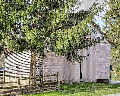 Scheune, rustikal, Scheunen, Ohio, digitale Kunst, ländlich, szenisch, Land, Landschaft, Schuppen, wirft, Bauernhof, Bauernhöfe, Landwirtschaft, landwirtschaftlich, Bauernhaus, champaign, Bezirk, Americana, Foto, fotografieren, Struktur, Strukturen, sturgell, William Sturgell, bill sturgell, historisch, Wohnkultur, Gebäude, Wolken, Himmel, Baum, Bäume, wolkig, Unkraut, Champaign County, Urbana, Pflanze, die Architektur, gebaute Struktur, grüne Farbe, Gebäudehülle, Tag, Zaun, Natur, Gras, Grenze, keine Leute, Wachstum, Barriere, Feld, Haus, draußen, 4K, CC0, gemeinfrei, lizenzfrei