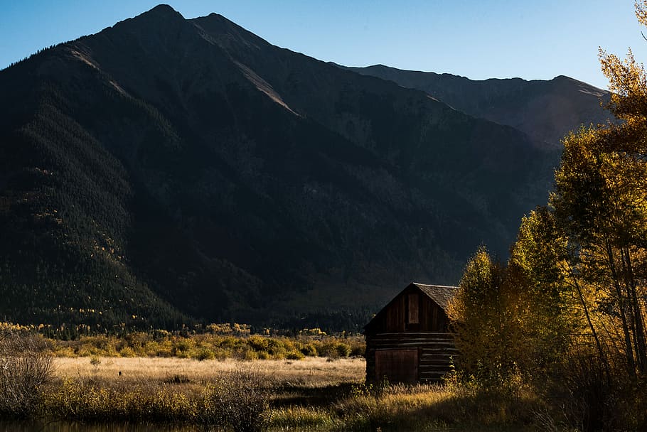 Marrone, di legno, cabina, strada, Casa, alberi, montagna, giorno, fienile, campo, cresta montuosa, albero, fattoria, erba, casa di legno, autunno, paesaggio, legna, caldo, pianta, architettura, struttura costruita, esterno dell'edificio, scenics - natura, terra, natura, ambiente, nessuno, bellezza nella natura, cielo, costruzione, la tranquillità, scena tranquilla, catena montuosa, scena rurale, all'aperto, Cottage, 5K