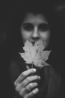fotografia em tons de cinza, seletivo, fotografia de foco, mulher, segurando, dourado, folha, mão, anel, outono, natureza, amarelo, temporada, ao ar livre, árvore de bordo, Outubro, folha de Carvalho, uma pessoa, fechar-se, cor laranja, etnia caucasiana, criança, uma garota só, garotas, parte do corpo humano, somente crianças, pessoas reais, retrato, estilos de vida, parte da planta, mulheres, atividade de lazer, vista frontal, focar em primeiro plano, Tiros na Cabeça, adulto, olhando para a câmera, mão humana, parte do corpo, rosto humano, 5K, CC0, domínio público, royalty free