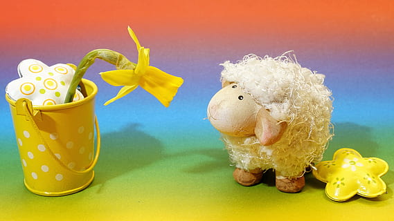 Schaf, Plüsch-, Spielzeug, suchen, Gelb, künstlich, Blume, Stahltopf, Hintergrund, Ostern, neugierig, Struktur, Farbe, Textur, modern, Licht, Stimmung, heiter, lustig, Lebensfreude, Dekoration, prägnant, abspielen, Emotionen, Freude, Spaß, Wunder, Lamm, Frühling, Geburtstag, Süss, Rosa, bunt, Grußkarte, kopieren sie platz, schäfchen, süß, Kopf, kleines Lamm, Kartengruß, hell, Emotion, Deko, schließen, Beleuchtung, Vorbote des Frühlings, Frühlingsgruß, Darstellung, Tier, Tierdarstellung, farbiger Hintergrund, keine Leute, Studioaufnahme, Finanzen, drinnen, Vogel, Tierthemen, Säugetier, Natur, Vieh, Container, Figur, Essen und Trinken, Kunst und Handwerk, 5K, CC0, gemeinfrei, lizenzfrei