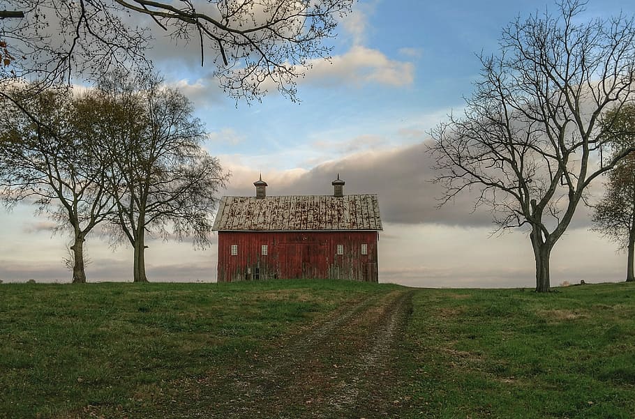 sesongendring, brun, malt, hus, trær, dagtid, bygning, himmel, Sky, tre, anlegg, sky - himmel, arkitektur, natur, gress, bygget struktur, bare tre, ingen folk, land, felt, gren, dag, bygge eksteriør, miljø, utendørs, landskap, vekst, historie, 4K