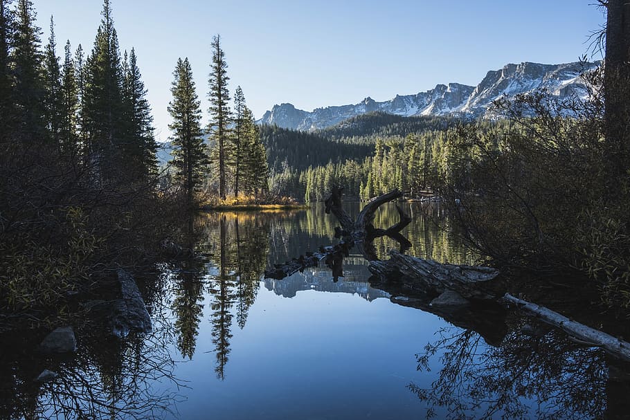 fotografie, corp, apă, inconjurat, copaci, domeniul forestier, alpin, țară, reflecţie, răsărit, copac, lac, frumusețe în natură, plantă, liniște, Munte, scenice - natura, o scenă liniștită, natură, cer, pădure, teren, mediu inconjurator, conifer, nici o persoana, de munte, Brad, pini de pădure, formare, 4K