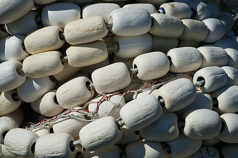 blanc, net, flotar, pescar, marí, nàutica, comercial, indústria, fons, marc complet, gran grup d'objectes, cap gent, Color blanc, natura morta, abundància, pila, dia, a la venda, venda al detall, primer pla, menjar i beguda, menjar, mercat, vista d’angle alt, col · lecció, repetició, a l'aire lliure, frescor, 4K, CC0, domini públic, lliure de regalies