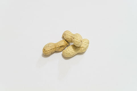 peanuts, aperitif, nuts, white background, studio shot, indoors, copy space, close-up, food and drink, food, healthy eating, no people, cut out, wellbeing, still life, nut, group of objects, snack, medicine, sweet food, high angle view, large group of objects, emotion, 4K, CC0, public domain, royalty free